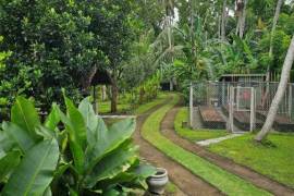 Luxury 2 Bed Hope Springs Villa For Sale in Subagan Bali