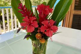 Luxury 4 Bedroom Villa for Sale in Salt Creek Panama