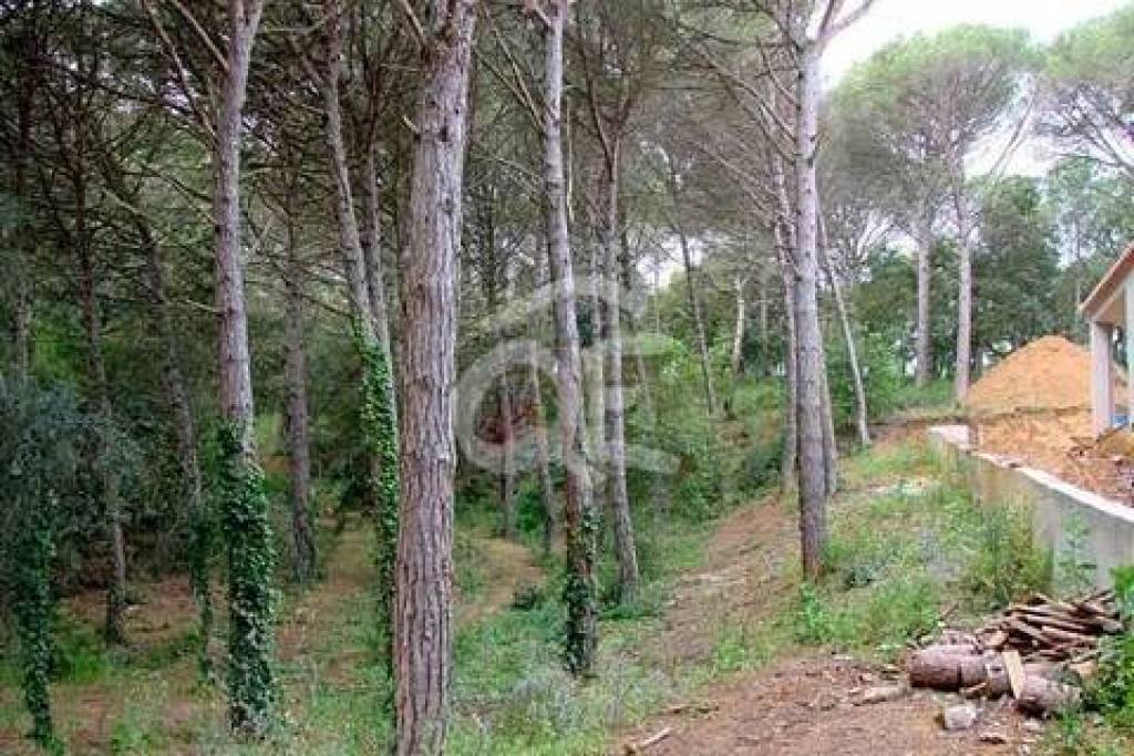 Plot in Calonge