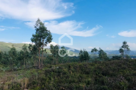 Land with 24,000m² for sale in Melres, Gondomar