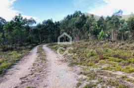 Land with 24,000m² for sale in Melres, Gondomar