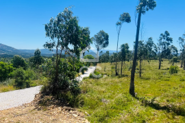 Land with 24,000m² for sale in Melres, Gondomar