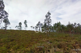 Land with 24,000m² for sale in Melres, Gondomar
