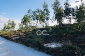 Land with 24,000m² for sale in Melres, Gondomar