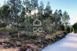 Land with 24,000m² for sale in Melres, Gondomar