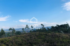 Land with 24,000m² for sale in Melres, Gondomar