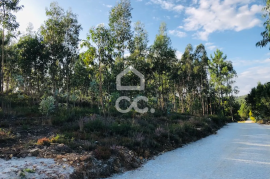 Land with 24,000m² for sale in Melres, Gondomar