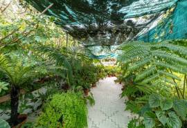 5-Bedroom House on a 400m² Plot