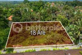 Prime Hospitality-Ready Land in the Heart of Sayan, Ubud