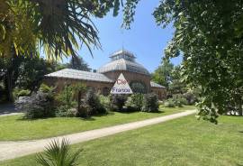 Apartment in Great Location