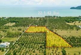 Large plot of Land for Sale at Dolphin Bay