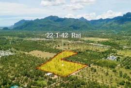 Large plot of Land for Sale at Dolphin Bay