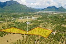 Large plot of Land for Sale at Dolphin Bay