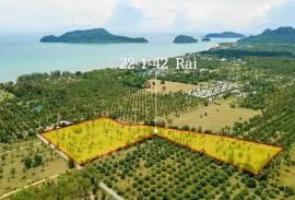 Large plot of Land for Sale at Dolphin Bay