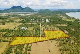 Large plot of Land for Sale at Dolphin Bay