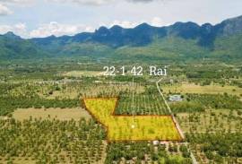 Large plot of Land for Sale at Dolphin Bay