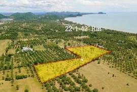 Large plot of Land for Sale at Dolphin Bay