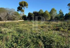 Land - For Sale
