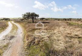 Land Alandroal Capelins