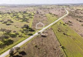 Land Alandroal Capelins