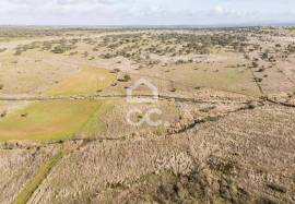 Land Alandroal Capelins