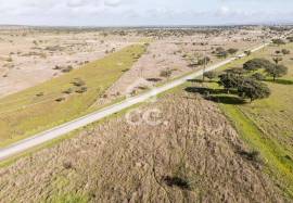 Land Alandroal Capelins