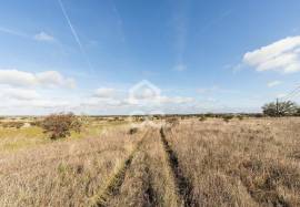 Land Alandroal Capelins