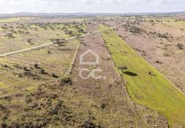 Land Alandroal Capelins