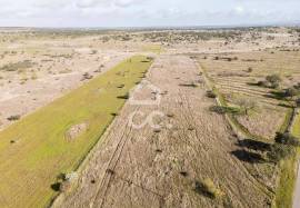 Land Alandroal Capelins