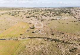 Land Alandroal Capelins