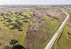 Land Alandroal Capelins