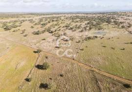 Land Alandroal Capelins