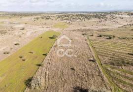 Land Alandroal Capelins