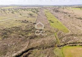 Land Alandroal Capelins