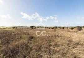 Land Alandroal Capelins