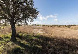 Land Alandroal Capelins