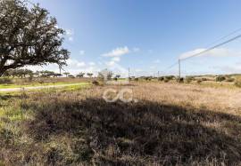 Land Alandroal Capelins