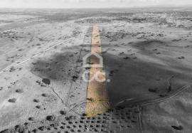 Land Alandroal Capelins