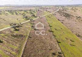 Land Alandroal Capelins