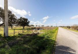 Land Alandroal Capelins