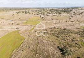 Land Alandroal Capelins