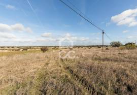 Land Alandroal Capelins