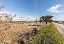 Land Alandroal Capelins