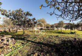 Farmhouse Évora Canaviais