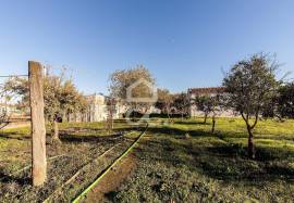 Farmhouse Évora Canaviais