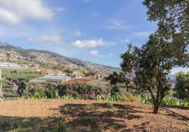 Traditional Madeiran House T3 with Annexes, Large Land and Banana Plantation