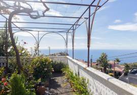 Traditional Madeiran House T3 with Annexes, Large Land and Banana Plantation