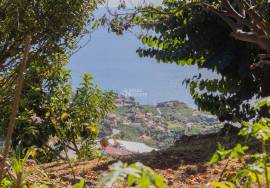 Traditional Madeiran House T3 with Annexes, Large Land and Banana Plantation