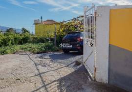 Traditional Madeiran House T3 with Annexes, Large Land and Banana Plantation