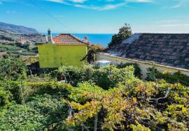 Traditional Madeiran House T3 with Annexes, Large Land and Banana Plantation